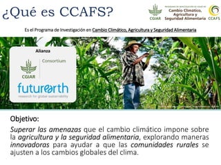 ¿Qué es CCAFS?
Objetivo:
Superar las amenazas que el cambio climático impone sobre
la agricultura y la seguridad alimentar...