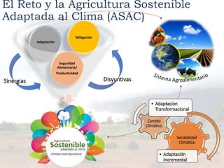 Acercando los Temas Agrícolas y Forestales con un Enfoque de Ordenamiento de Territorio