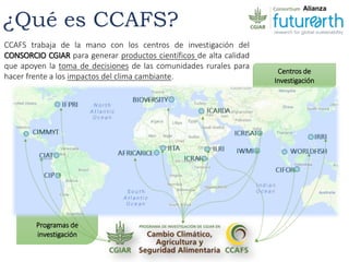 Acercando los Temas Agrícolas y Forestales con un Enfoque de Ordenamiento de Territorio
