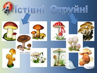 урок природознавства в 3 класі бактерії