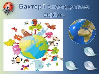 урок природознавства в 3 класі бактерії