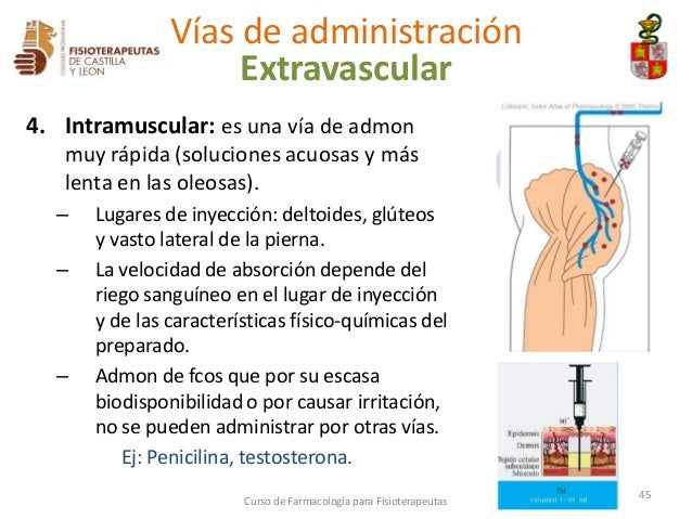 3. formas farmacéuticas y vías de administración