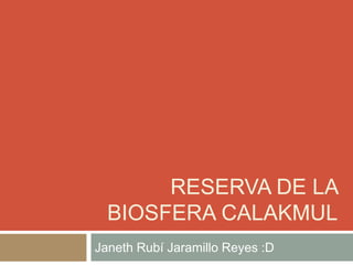 RESERVA DE LA
BIOSFERA CALAKMUL
Janeth Rubí Jaramillo Reyes :D
 