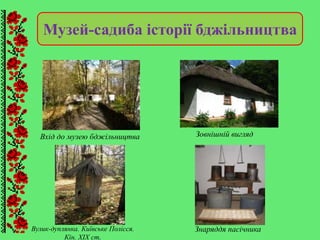 Музей-садиба історії бджільництва
Вхід до музею бджільництва Зовнішній вигляд
Вулик-дуплянка. Київське Полісся.
Кін. ХІХ ст.
Знаряддя пасічника
 