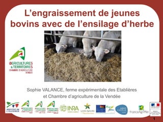 1
Sophie VALANCE, ferme expérimentale des Etablières
et Chambre d’agriculture de la Vendée
L’engraissement de jeunes
bovins avec de l’ensilage d’herbe
 