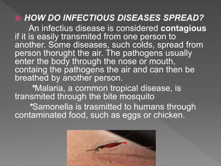  HOW DO INFECTIOUS DISEASES SPREAD?
An infectius disease is considered contagious
if it is easily transmited from one person to
another. Some diseases, such colds, spread from
person thorught the air. The pathogens usually
enter the body through the nose or mouth,
containg the pathogens the air and can then be
breathed by another person.
*Malaria, a common tropical disease, is
transmited through the bite mosquito
*Samonella is trasmitted to humans through
contaminated food, such as eggs or chicken.
 
