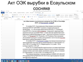 Акт ОЭК вырубки в Есаульском
сосняке
 