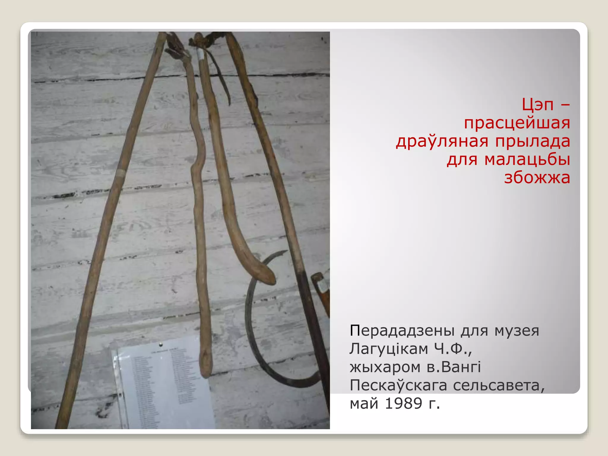 Перададзены для музея
Лагуцікам Ч.Ф.,
жыхаром в.Вангі
Пескаўскага сельсавета,
май 1989 г.
Цэп –
прасцейшая
драўляная прылада
для малацьбы
збожжа
 