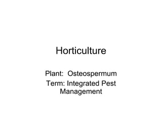 Horticulture Plant:  Osteospermum Term: Integrated Pest Management 