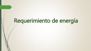 Requerimiento de energía
 