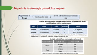 Requerimiento de energía para adultos mayores
 