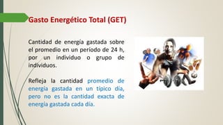 Gasto Energético Total (GET)
Cantidad de energía gastada sobre
el promedio en un período de 24 h,
por un individuo o grupo de
individuos.
Refleja la cantidad promedio de
energía gastada en un típico día,
pero no es la cantidad exacta de
energía gastada cada día.
 