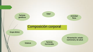 Composición corporal
Factores
genéticos
Edad
Actividad
física
Alimentación, estado
nutricional y de salud.
Factores
hormonales
Estatura
Grupo étnico
 