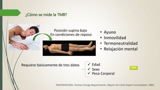 Posición supina bajo
En condiciones de reposo
• Ayuno
• Inmovilidad
• Termoneutralidad
• Relajación mental
¿Cómo se mide la TMB?
Requiere básicamente de tres datos  Edad
 Sexo
 Peso Corporal
TMB
FAO/WHO/UNU. Human Energy Requeriments. Report of a Joint Expert Consultation; 2001.
 