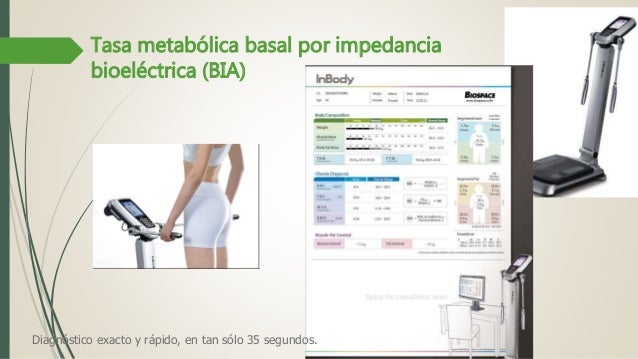 dieta del metabolismo 7 dias reseñas