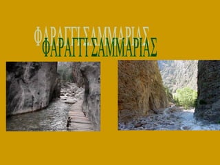 παρουσίαση3 | PPT