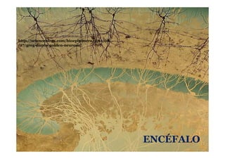 http://scienceblogs.com/bioephemera/2011/08
/27/greg-dunns-golden-neurons/
ENCÉFALOENCÉFALO
 