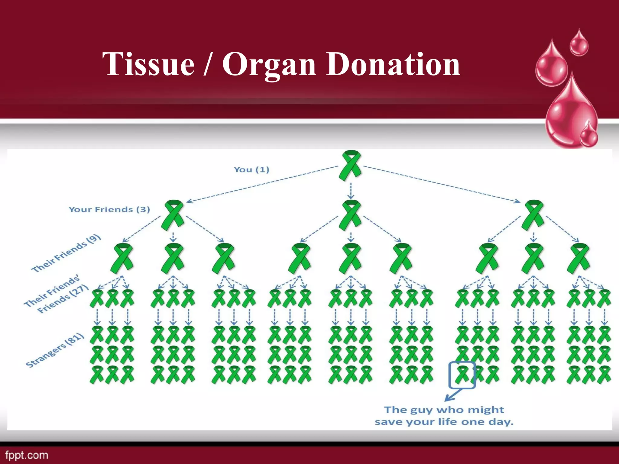 Tissue / Organ Donation
 