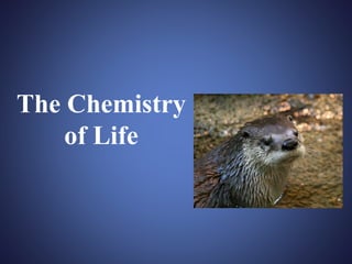 The Chemistry
of Life
 