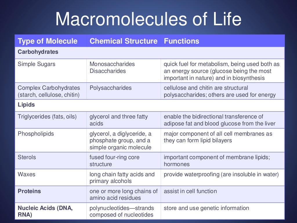 3. biological macromolecules, bio 101