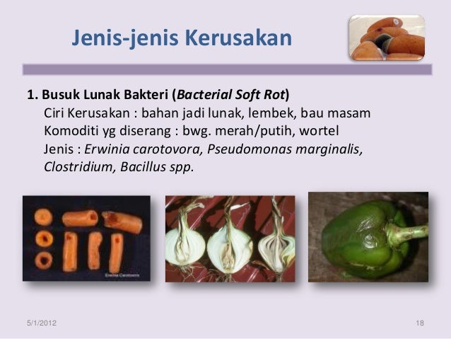 kerusakan bahan pangan kerusakan bahan pangan