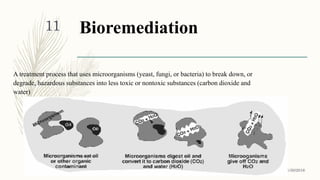 Bioremediation
A treatment process that uses microorganisms (yeast, fungi, or bacteria) to break down, or
degrade, hazardous substances into less toxic or nontoxic substances (carbon dioxide and
water)
1/30/2016
11
 