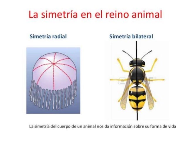 Imagen relacionada