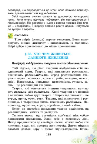 115
леопарда, що підкрадається до зграї, вона починає лементу-
вати, і решта мавп тікає від небезпеки.
Звірі подають сигнал тривоги за допомогою кольорових
плям. Коли олень відчуває небезпеку, він насторожується і
підні­має хвіст. Під хвостом у нього є велика яскраво-біла пля-
ма – «дзеркало». Її відразу помічає решта оленів і готується
до зустрічі з ворогом.
Висновки
Тіло звірів (ссавців) вкрите волоссям. Вони наро-
джують живих дитинчат і вигодовують їх молоком.
Звірі добре пристосовані до місць проживання.
§ 36. Хто чим живиться.
Ланцюги живлення
Поміркуй, які бувають тварини за способом живлення.
Тобі відомо, що різні тварини здобувають собі не­
однаковий корм. Тварин, які живляться рослинами,
називають рослиноїдними. Серед рослиноїдних тва-
рин – черви, молюски, комахи, риби, плазуни, птахи,
звірі. Наприклад, попелиця, краснопірка, глухар, за-
єць – це рослиноїдні тварини.
Тварин, які живляться іншими тваринами, назива-
ють хижими, або хижаками. Хижі тварини є у кожній
з вивчених тобою груп тварин. Наприклад хижаки – це
турун, щука, орел, вовк. Тварин, які живляться і рос-
линною, і тваринною їжею, називають усеїдними. На-
приклад, мурашка, короп, горобець, дикий кабан.
Отже, за способом живлення тварин поділяють на
рослиноїдних, хижих та усеїдних.
Ти вже знаєш, що організми пов’язані між собою
ланцюгами живлення. Уяви себе в сосновому лісі.
Якщо придивитися до стовбура сосни, можна побачити
численні ходи, які прогриз жук-короїд. Дятел міцним
дзьобом довбає кору і дістає жуків-короїдів. Отже,
 