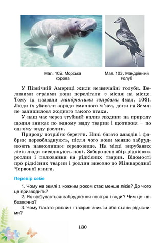 130
	 Мал. 102. Морська 	 Мал. 103. Мандрівний
	 корова 	 голуб
У Північній Америці жили незвичайні голуби. Ве-
ликими зграями вони перелітали з місця на місце.
Тому їх назвали мандрівними голубами (мал. 103).
Люди їх убивали заради смачного м’яса, доки на Землі
не залишилося жодного такого птаха.
У наш час через згубний вплив людини на природу
щодня зникає по одному виду тварин і щотижня – по
одному виду рослин.
Природу потрібно берегти. Нині багато заводів і фа-
брик переобладнують, після чого вони менше забруд-
нюють навколишнє середовище. На місці вирубаних
лісів люди висаджують нові. Заборонено збір рідкісних
рослин і полювання на рідкісних тварин. Відомості
про рідкісних тварин і рослин внесено до Міжнародної
Червоної книги.
Перевір себе
1. Чому на землі з кожним роком стає менше лісів? До чого
це призводить?
2. Як відбувається забруднення повітря і води? Чим це не-
безпечно?
3. Чому багато рослин і тварин зникли або стали рідкісни-
ми?
 