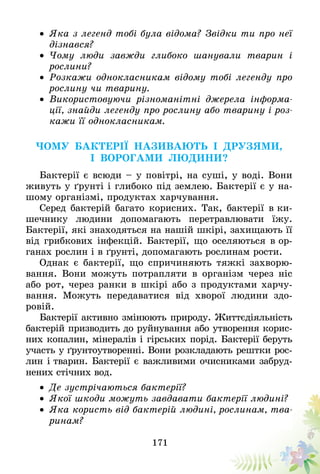 171
•	 Яка з легенд тобі була відома? Звідки ти про неї
дізнався?
•	 Чому люди завжди глибоко шанували тварин і
рослини?
•	 Розкажи однокласникам відому тобі легенду про
рослину чи тварину.
•	 Використовуючи різноманітні джерела інформа-
ції, знайди легенду про рослину або тварину і роз-
кажи її однокласникам.
Чому бактерії називають і друзями,
і ворогами людини?
Бактерії є всюди – у повітрі, на суші, у воді. Вони
живуть у ґрунті і глибоко під землею. Бактерії є у на-
шому організмі, продуктах харчування.
Серед бактерій багато корисних. Так, бактерії в ки-
шечнику людини допомагають перетравлювати їжу.
Бактерії, які знаходяться на нашій шкірі, захищають її
від грибкових інфекцій. Бактерії, що оселяються в ор-
ганах рослин і в ґрунті, допомагають рослинам рости.
Однак є бактерії, що спричиняють тяжкі захворю-
вання. Вони можуть потрапляти в організм через ніс
або рот, через ранки в шкірі або з продуктами харчу-
вання. Можуть передаватися від хворої людини здо­
ровій.
Бактерії активно змінюють природу. Життєдіяльність
бактерій призводить до руйнування або утворення корис-
них копалин, мінералів і гірських порід. Бактерії беруть
участь у ґрунтоутворенні. Вони розкладають рештки рос-
лин і тварин. Бактерії є важливими очисниками забруд-
нених стічних вод.
•	 Де зустрічаються бактерії?
•	 Якої шкоди можуть завдавати бактерії людині?
•	 Яка користь від бактерій людині, рослинам, тва-
ринам?
 