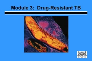 Module 3: Drug-Resistant TB
 