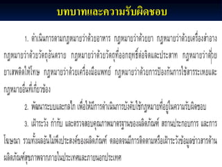 บทบาทและความรับผิดชอบ
 