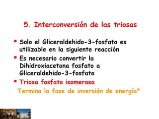 5. Interconversión de las triosas
 Solo el Gliceraldehido-3-fosfato es
utilizable en la siguiente reacción
 Es necesario convertir la
Dihidroxiacetona fosfato a
Gliceraldehido-3-fosfato
 Triosa fosfato isomerasa
Termina la fase de inversión de energía*
 