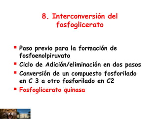 8. Interconversión del
fosfoglicerato
 Paso previo para la formación de
fosfoenolpiruvato
 Ciclo de Adición/eliminación en dos pasos
 Conversión de un compuesto fosforilado
en C 3 a otro fosforilado en C2
 Fosfoglicerato quinasa
 
