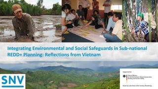 Integrating Environmental and Social Safeguards in Sub-national
REDD+ Planning: Reflections from Vietnam
1
 