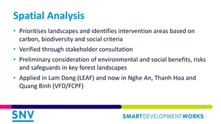 Integrating Environmental and Social Safeguards in Subnational REDD+ Planning: Reflections from Vietnam