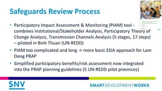 Integrating Environmental and Social Safeguards in Subnational REDD+ Planning: Reflections from Vietnam