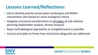Integrating Environmental and Social Safeguards in Subnational REDD+ Planning: Reflections from Vietnam