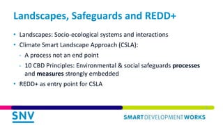 Landscapes, Safeguards and REDD+
• Landscapes: Socio-ecological systems and interactions
• Climate Smart Landscape Approac...