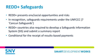 Integrating Environmental and Social Safeguards in Subnational REDD+ Planning: Reflections from Vietnam