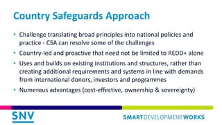 Integrating Environmental and Social Safeguards in Subnational REDD+ Planning: Reflections from Vietnam