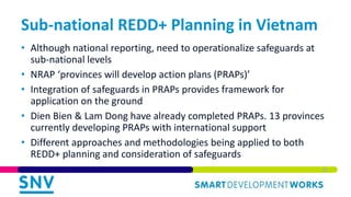 Integrating Environmental and Social Safeguards in Subnational REDD+ Planning: Reflections from Vietnam