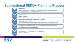 Integrating Environmental and Social Safeguards in Subnational REDD+ Planning: Reflections from Vietnam