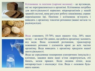 Клітковина та пектини (харчові волокна) – це вуглеводи,
які не перетравлюються в організмі. Клітковина потрібна
для життєдіяльності корисних мікроорганізмів у нашій
травній системі, вона регулює роботу кишківника; сприяє
переміщенню їжі. Пектини і клітковина зв’язують і
виводять з організму токсичні речовини (важкі метали та
радіонукліди).
Вода становить 55-70% маси нашого тіла, 30% маси
мозку – це вода! Не дивно, що робота організму залежить
від води. Вона основний розчинник, транспортер
поживних речовин і елементів крові до всіх частин
організму. Вода виводить з організму продукти нашої
життєдіяльності.
Вода це середовище поширення електричних імпульсів у
клітинах, завдяки яким наші м’язи скорочуються, очі
бачать, мозок працює. Коли людина пітніє, вода
випаровується і охолоджує тіло. Вода є основою будь-
якого напою.
 