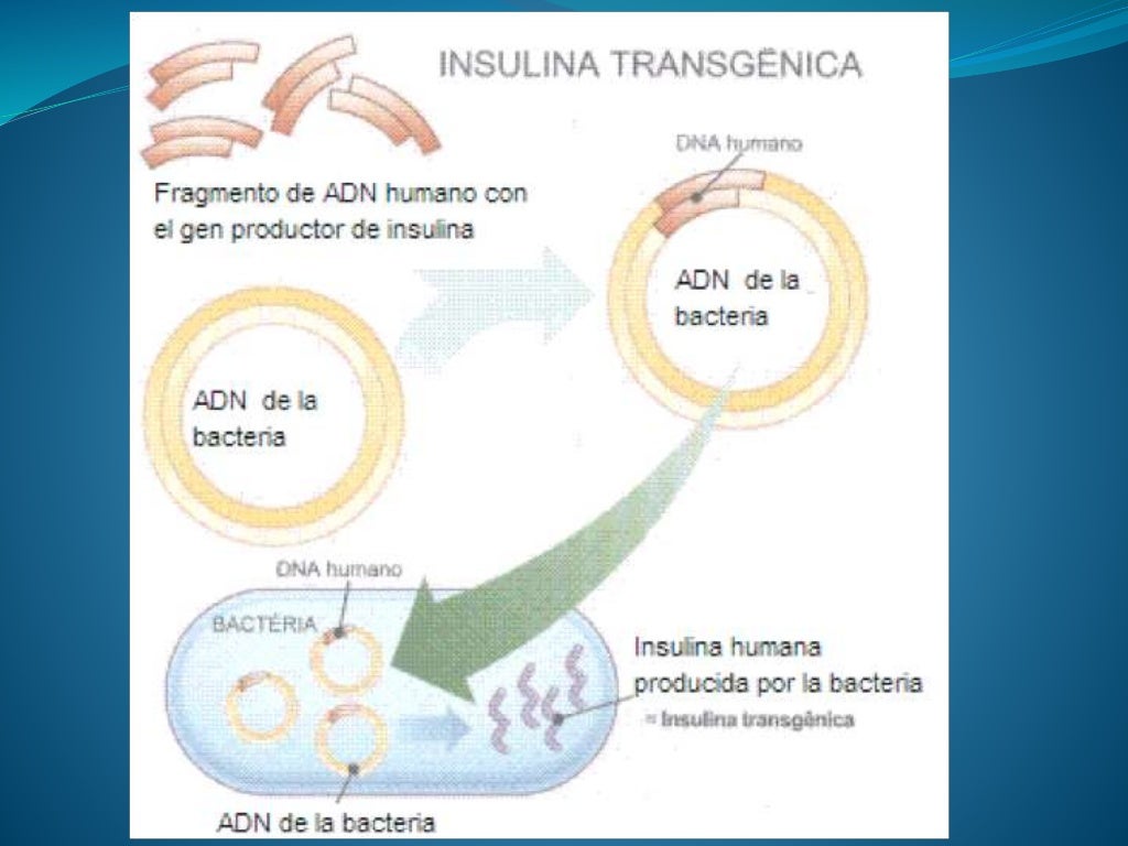 3. historia de la bioética