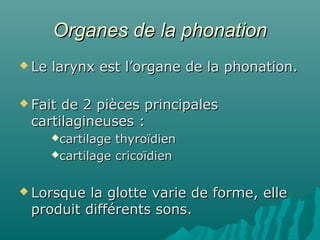 Organes de la phonationOrganes de la phonation
 Le larynx est l’organe de la phonation.Le larynx est l’organe de la phonation.
 Fait de 2 pièces principalesFait de 2 pièces principales
cartilagineuses :cartilagineuses :
cartilage thyroïdiencartilage thyroïdien
cartilage cricoïdiencartilage cricoïdien
 Lorsque la glotte varie de forme, elleLorsque la glotte varie de forme, elle
produit différents sons.produit différents sons.
 
