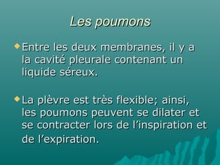 Les poumonsLes poumons
 Entre les deux membranes, il y aEntre les deux membranes, il y a
la cavité pleurale contenant unla cavité pleurale contenant un
liquide séreux.liquide séreux.
 La plèvre est très flexible; ainsi,La plèvre est très flexible; ainsi,
les poumons peuvent se dilater etles poumons peuvent se dilater et
se contracter lors de l’inspiration etse contracter lors de l’inspiration et
de l’expiration.de l’expiration.
 