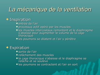 La mécanique de la ventilationLa mécanique de la ventilation
 InspirationInspiration
 entrée de l’airentrée de l’air
 processus actif opéré par les musclesprocessus actif opéré par les muscles
 les muscles intercostaux remontent et le diaphragmeles muscles intercostaux remontent et le diaphragme
s’abaisse pour augmenter le volume de la cages’abaisse pour augmenter le volume de la cage
thoraciquethoracique
 les poumons se dilatent et l’air y pénètreles poumons se dilatent et l’air y pénètre
 ExpirationExpiration
 sortie de l’airsortie de l’air
 relâchement des musclesrelâchement des muscles
 la cage thoracique s’abaisse et le diaphragme sela cage thoracique s’abaisse et le diaphragme se
relâche et se soulèverelâche et se soulève
 les poumons se contractent et l’air en sortles poumons se contractent et l’air en sort
 
