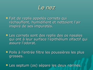 Le nezLe nez
 Fait de replis appelés cornets quiFait de replis appelés cornets qui
réchauffent, humidifient et nettoient l’airréchauffent, humidifient et nettoient l’air
inspiré de ses impuretés.inspiré de ses impuretés.
 Les cornets sont des replis des os nasalesLes cornets sont des replis des os nasales
qui ont à leur surface l’épithélium olfactif quiqui ont à leur surface l’épithélium olfactif qui
assure l’odorat.assure l’odorat.
 Poils à l’entrée filtre les poussières les plusPoils à l’entrée filtre les poussières les plus
grosses.grosses.
 Les septum (os) sépare les deux narines.Les septum (os) sépare les deux narines.
 