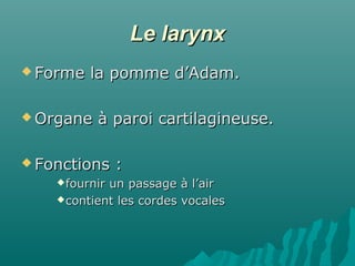 Le larynxLe larynx
 Forme la pomme d’Adam.Forme la pomme d’Adam.
 Organe à paroi cartilagineuse.Organe à paroi cartilagineuse.
 Fonctions :Fonctions :
fournir un passage à l’airfournir un passage à l’air
contient les cordes vocalescontient les cordes vocales
 